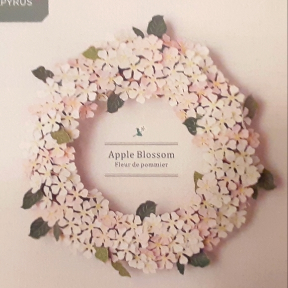 Mini Wreath Kit: Apple Blossom - Picture 4 of 4